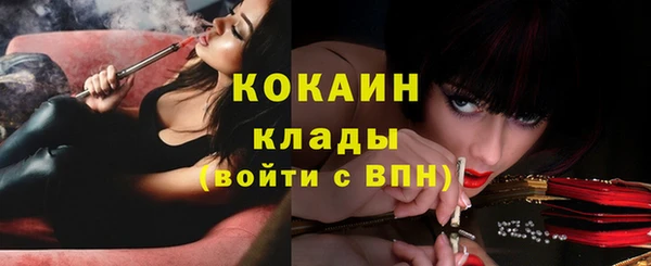 прущий лед Карпинск