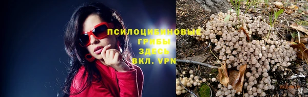 меф Касимов