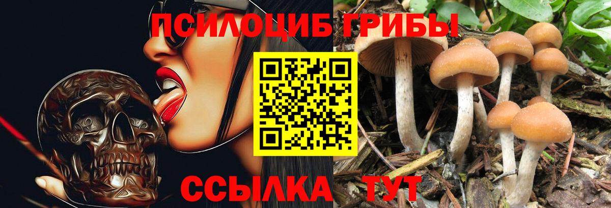 Галлюциногенные грибы мицелий Приморско-Ахтарск
