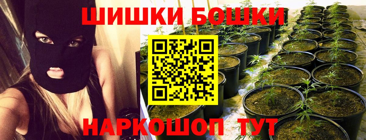 Конопля план Приморско-Ахтарск